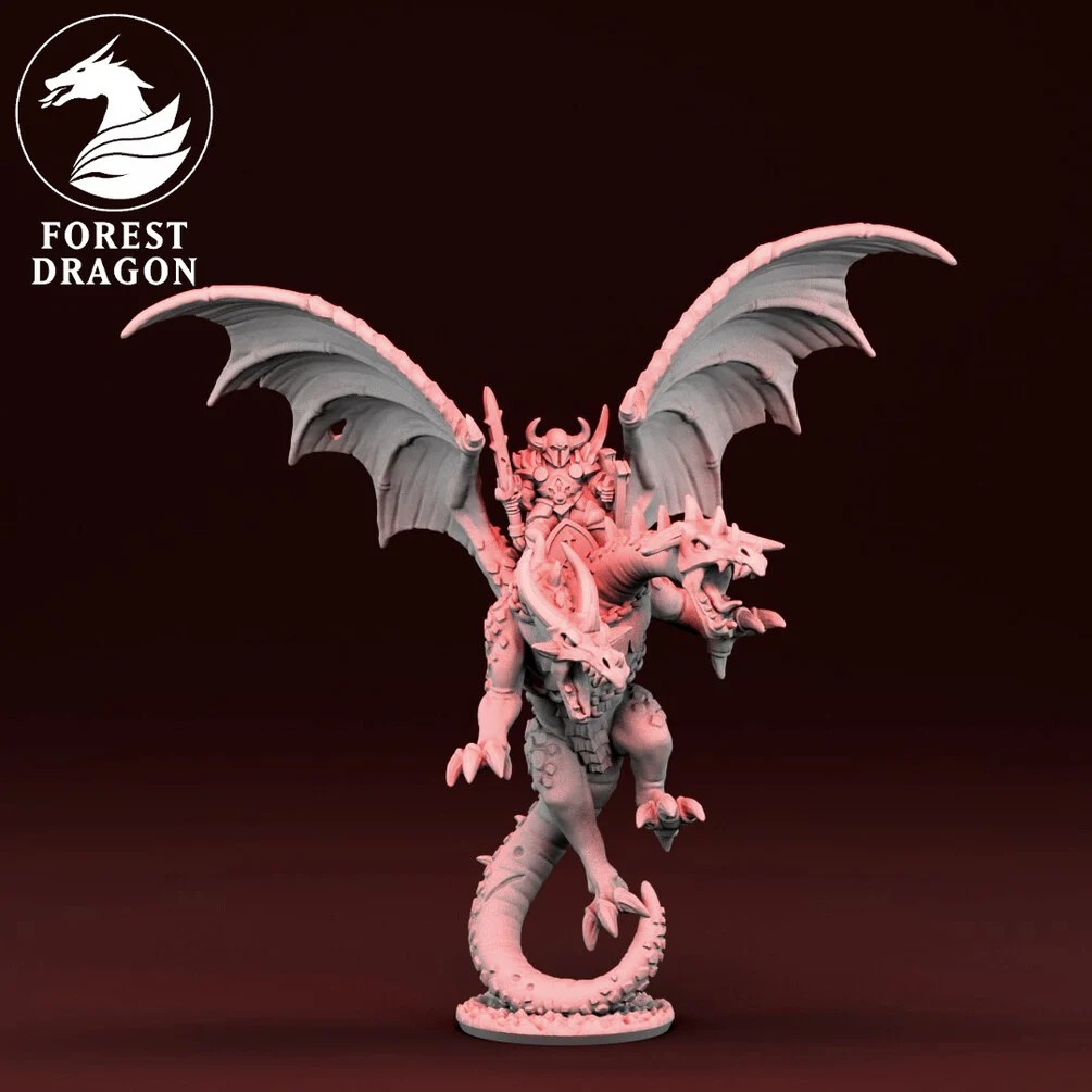 [FD-CHAOS-DRH-10] Héroe en dragón (10mm)