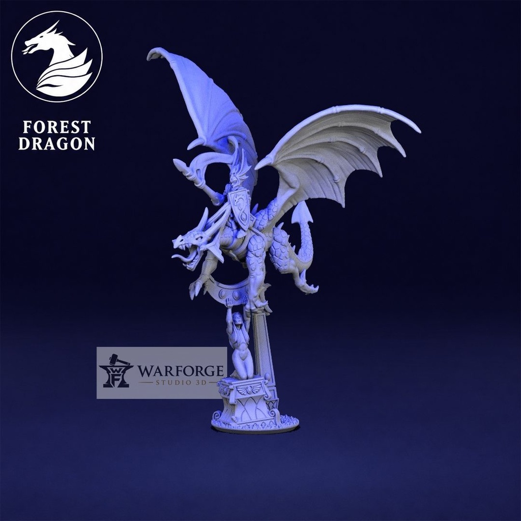 [FD-HIGHELVES-DN1-10] Noble Élfico en Dragón del Cielo (10mm)