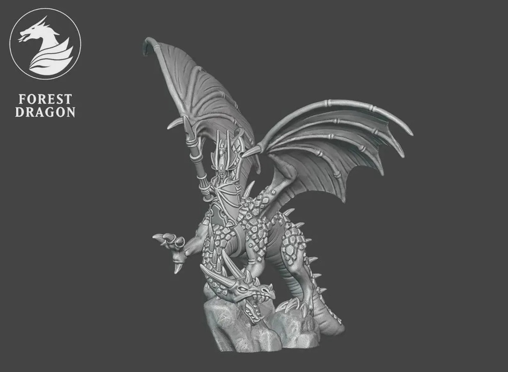 [FD-HIGHELVES-DRR-10] Elven Hero on Dragon (10mm)